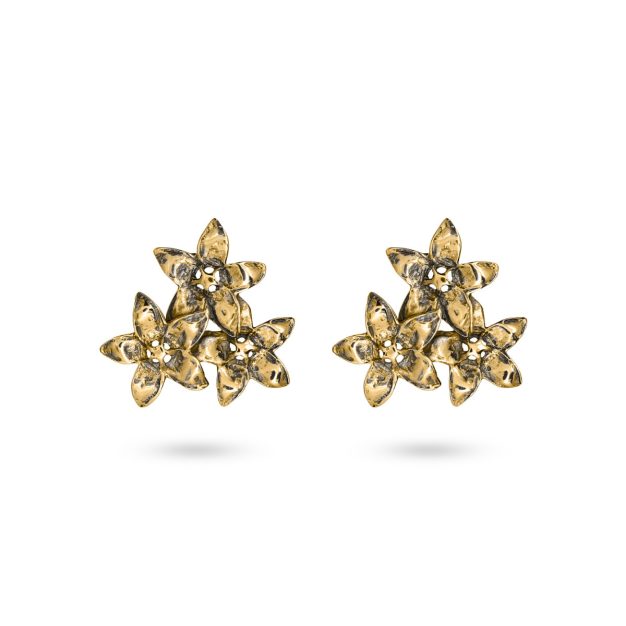 Daisy Earrings OR_567B@