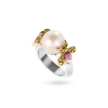 Anello Api